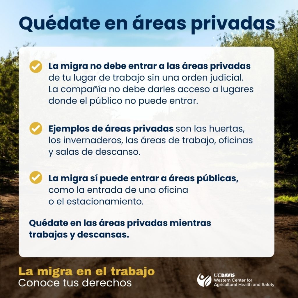 Si la migra se presenta en tu lugar de trabajo 5